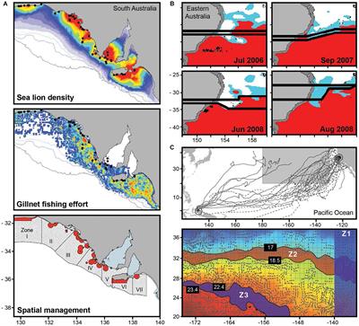 Overhauling Ocean Spatial Planning to Improve Marine Megafauna Conservation